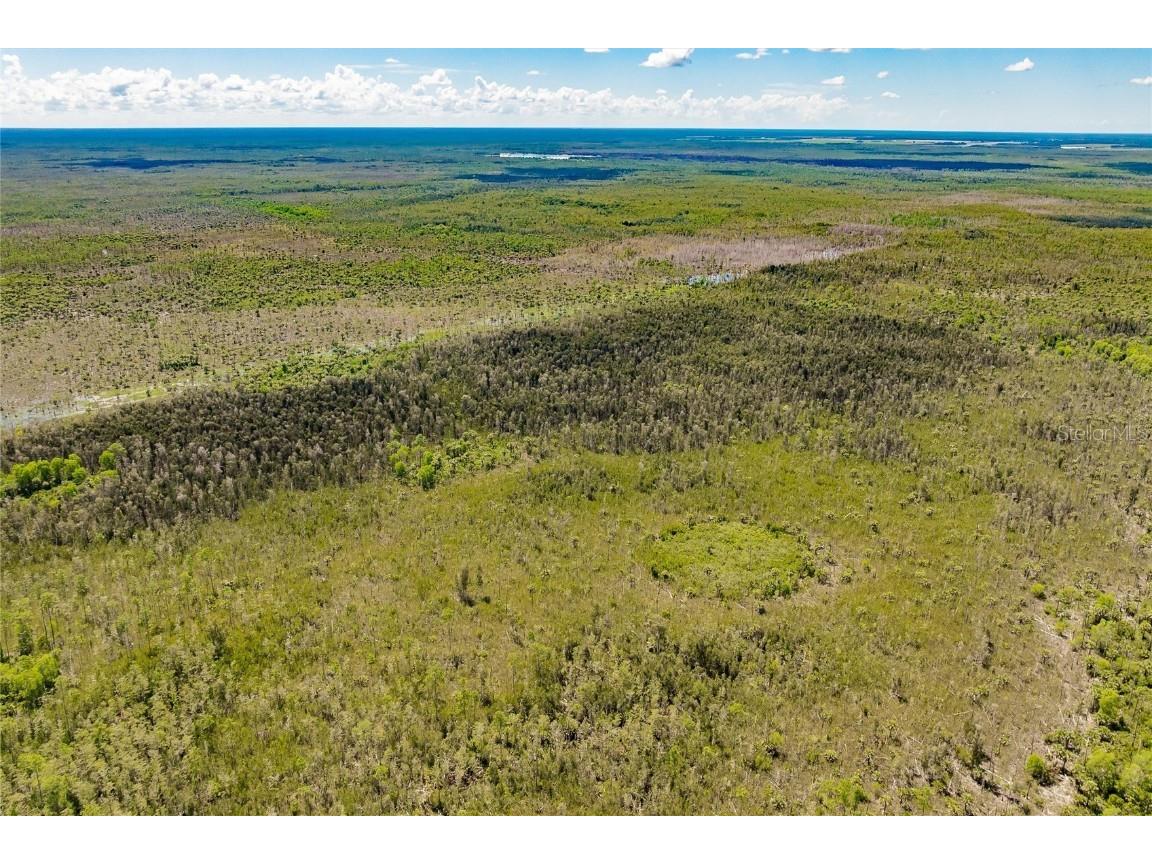 Unassigned Naples FL 34114 C7513997 image6