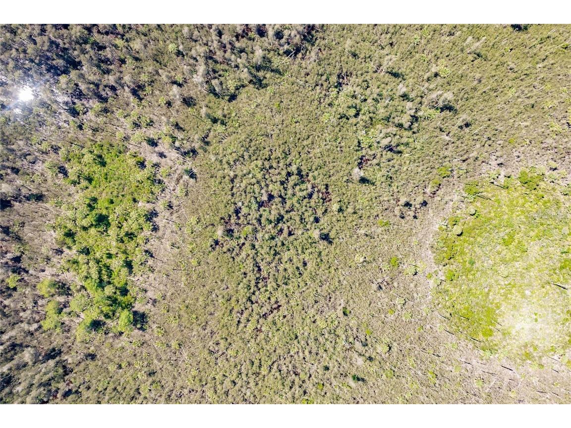 Unassigned Naples FL 34114 C7513997 image7