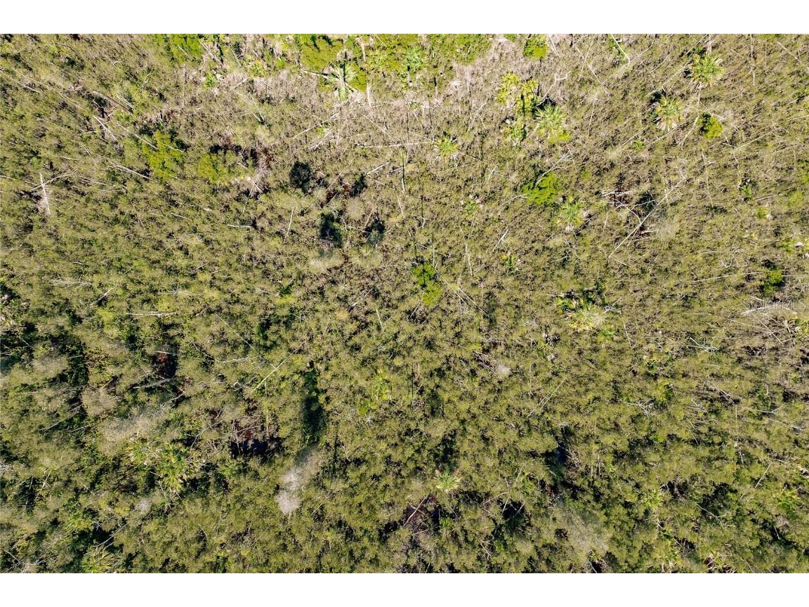 Unassigned Naples FL 34114 C7513997 image8