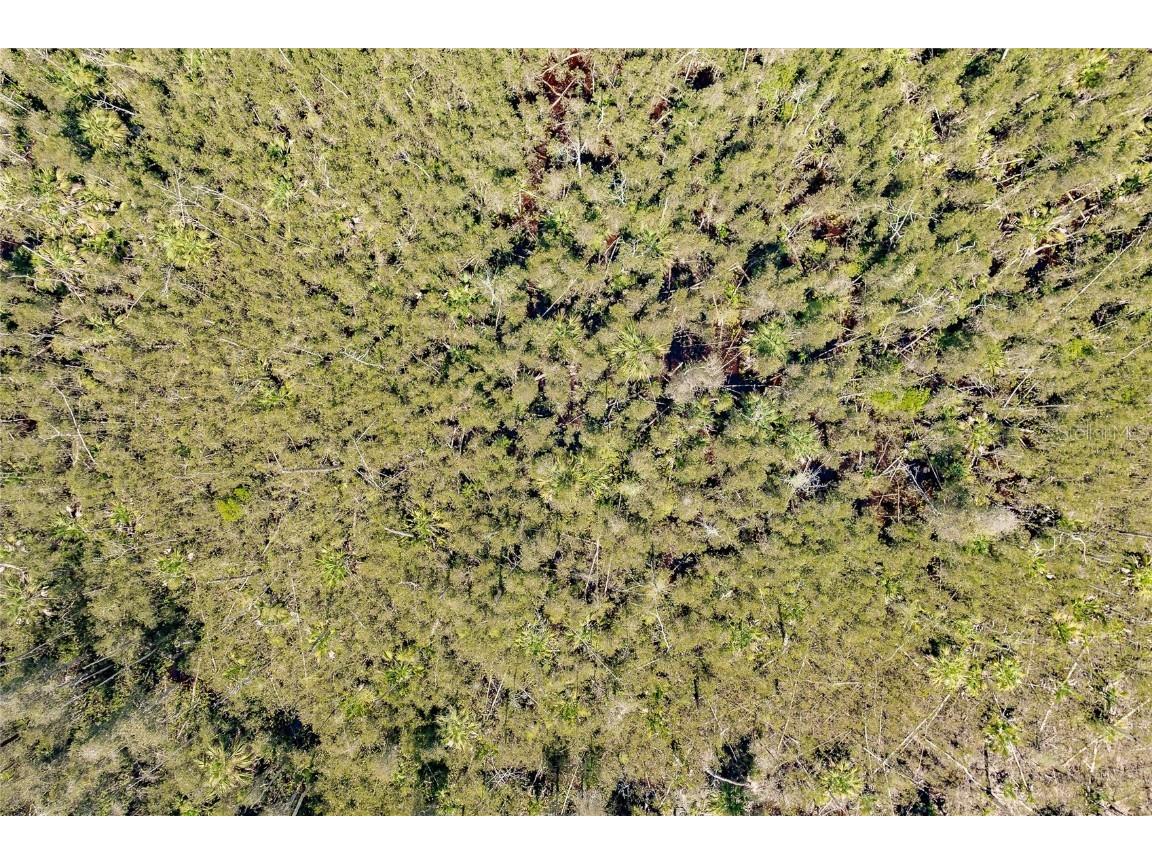 Unassigned Naples FL 34114 C7513997 image9