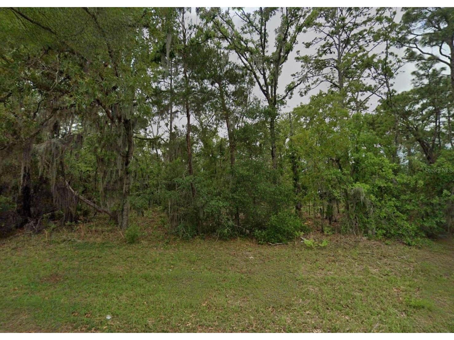 Unassigned Ocala FL 34473 TB8509615 image2