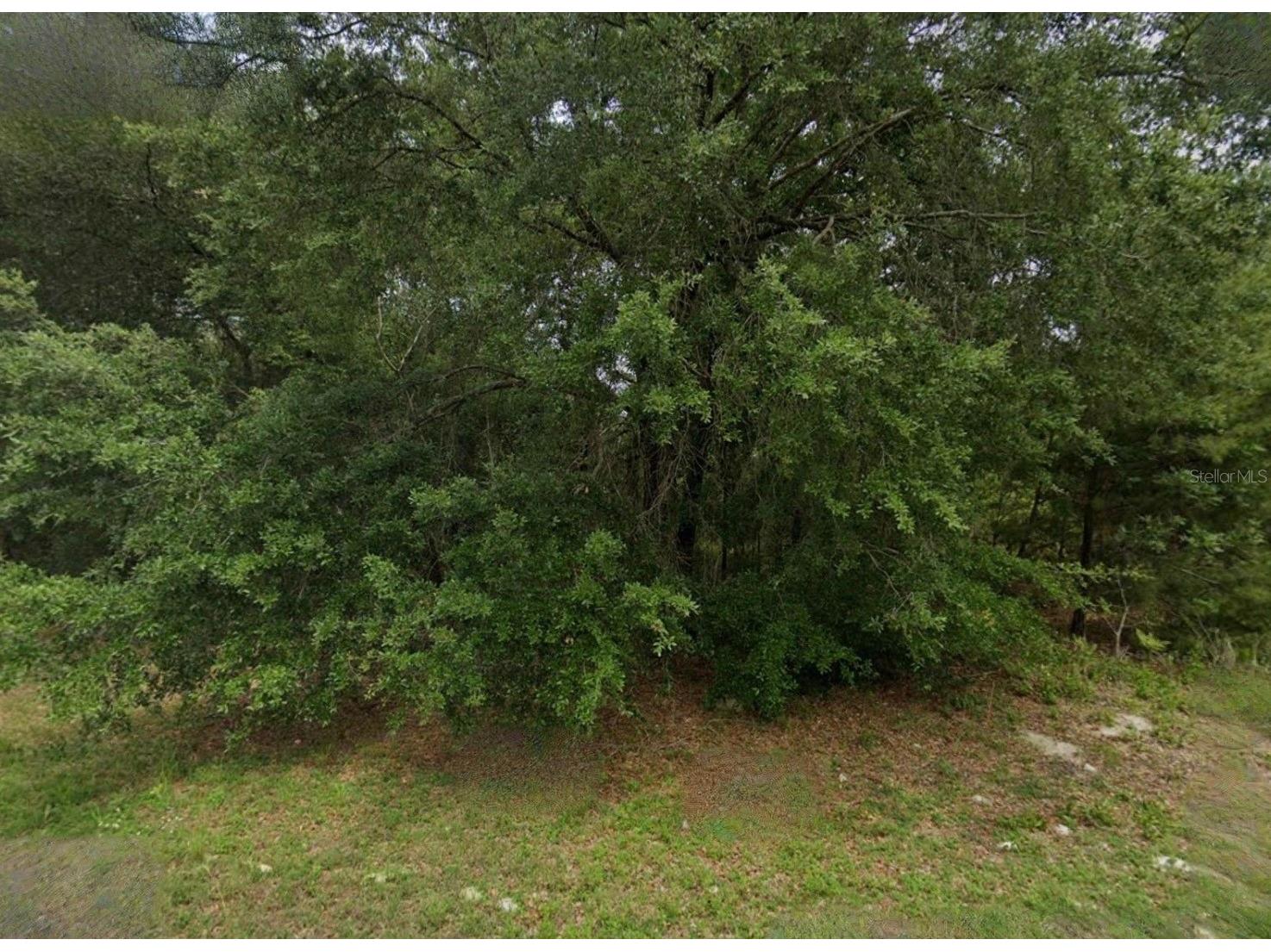 Unassigned Ocala FL 34473 TB8519987 image2