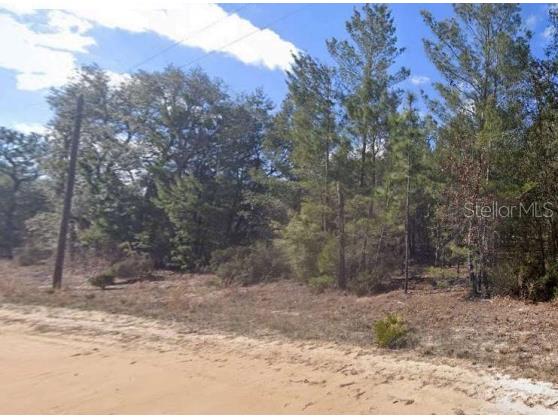 Unassigned Rd Interlachen FL 32148 TB8435194 image1