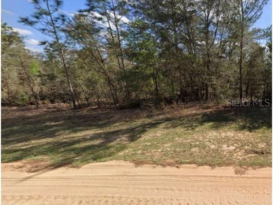 Unassigned Rd Interlachen FL 32148 TB8435194 image2