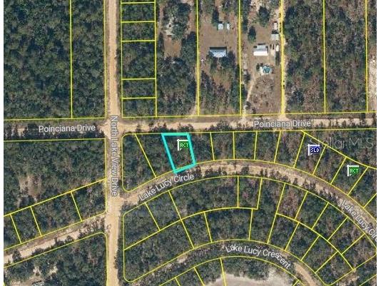 Unassigned Rd Interlachen FL 32148 TB8435194 image6