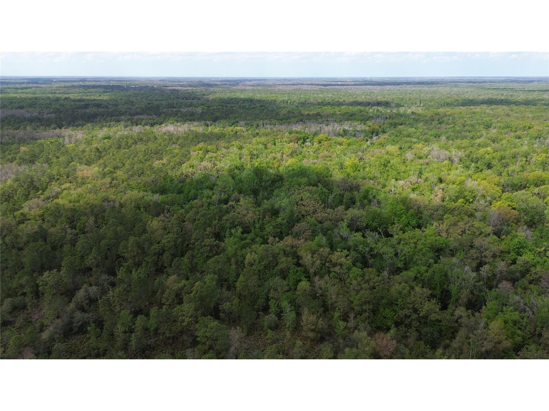 Unassigned Wesley Chapel FL 33544 TB8486675 image11