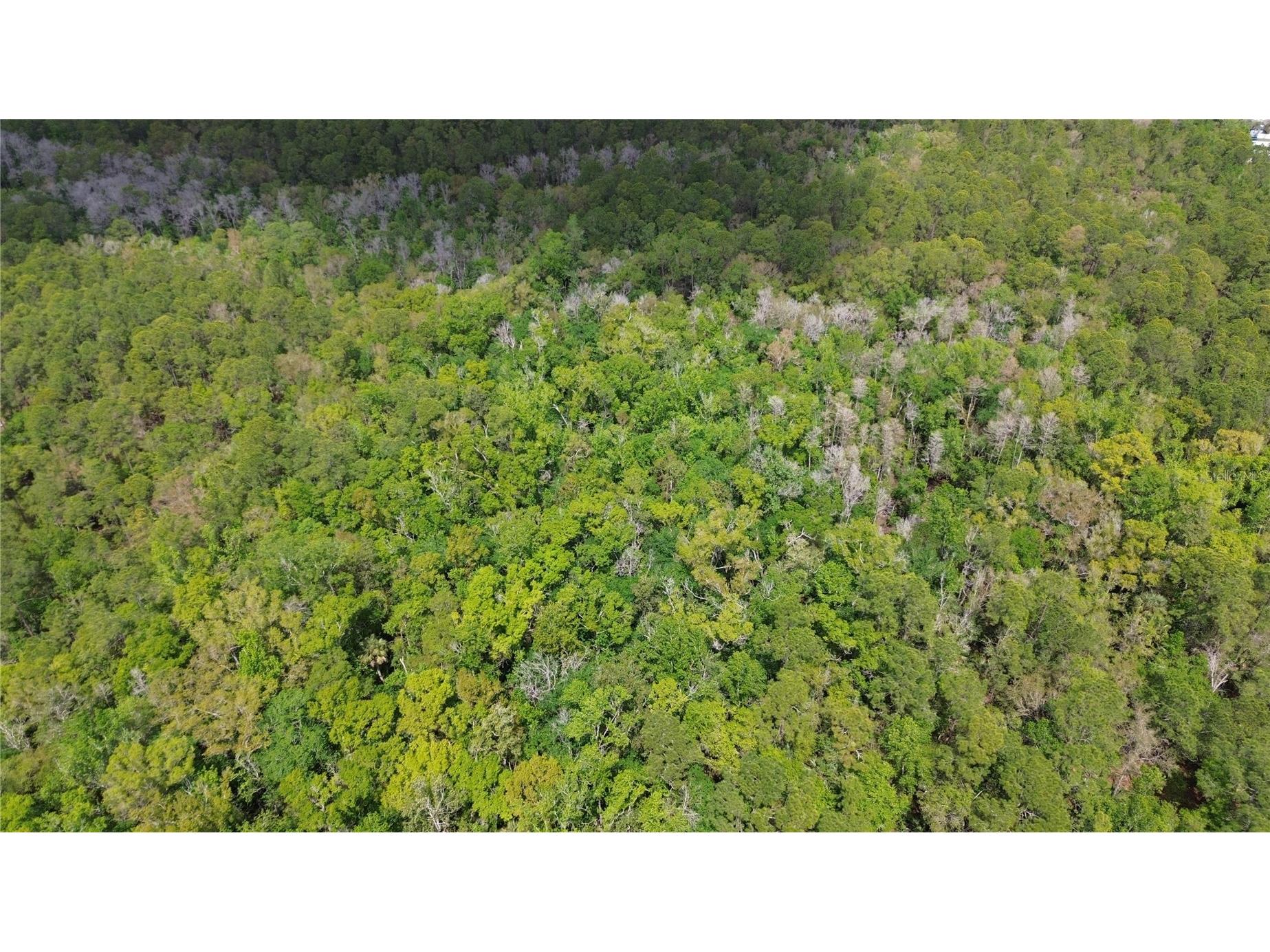 Unassigned Wesley Chapel FL 33544 TB8486675 image16