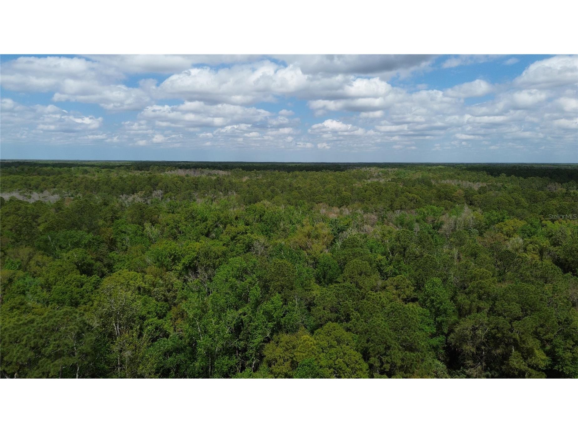 Unassigned Wesley Chapel FL 33544 TB8486675 image19