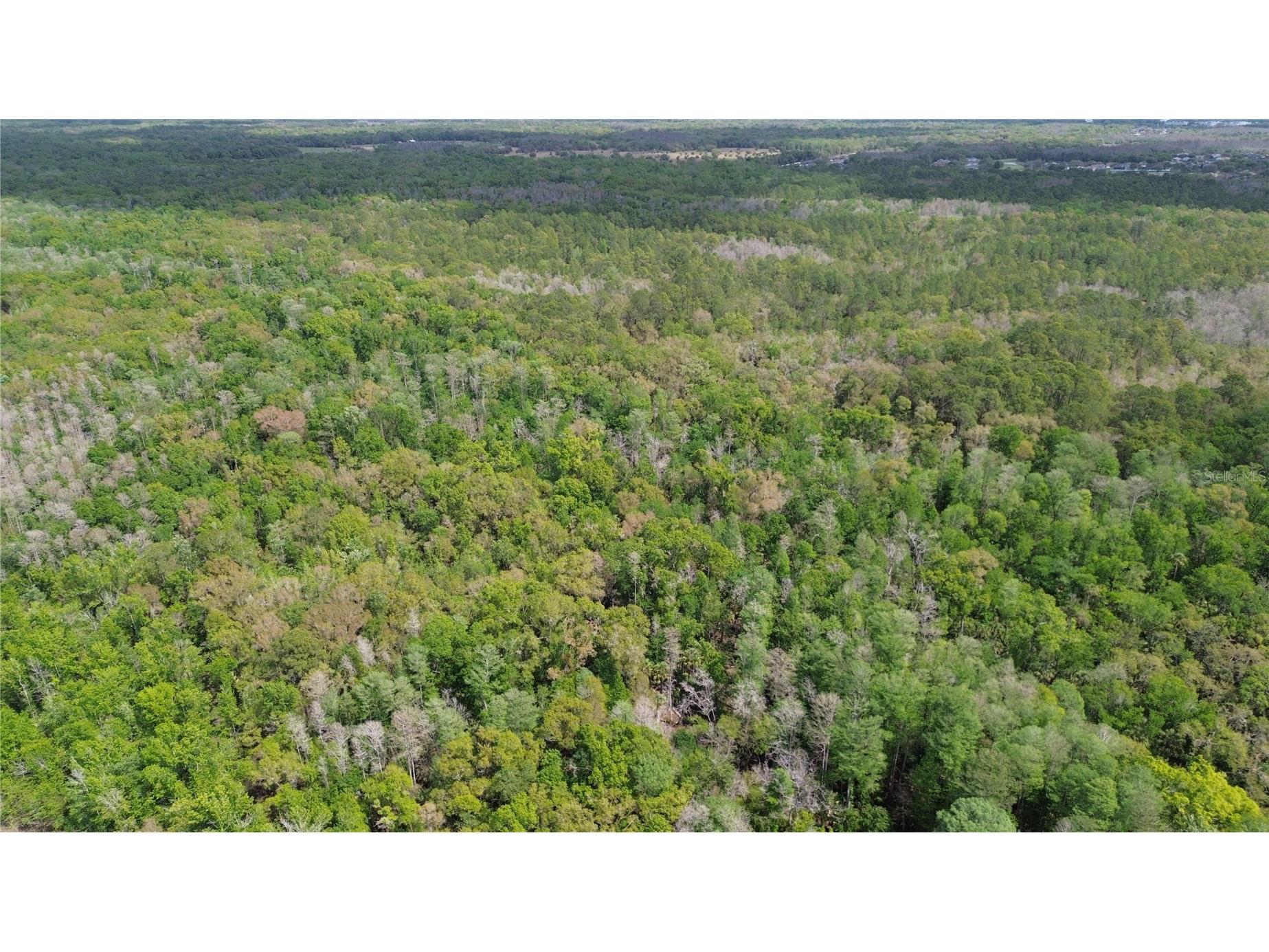 Unassigned Wesley Chapel FL 33544 TB8486675 image26