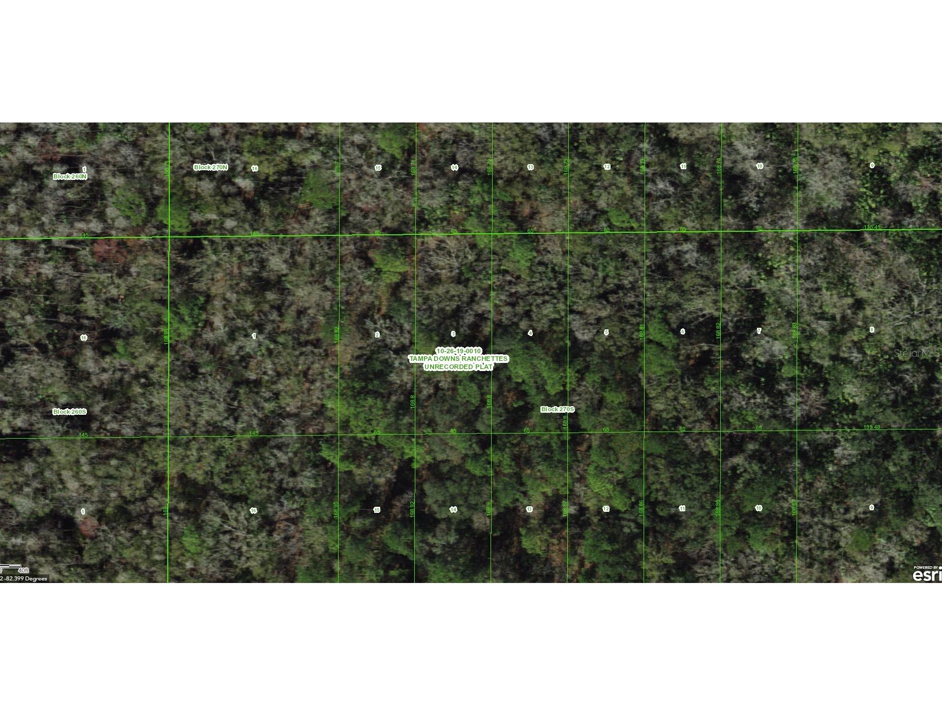 Unassigned Wesley Chapel FL 33544 TB8486675 image5