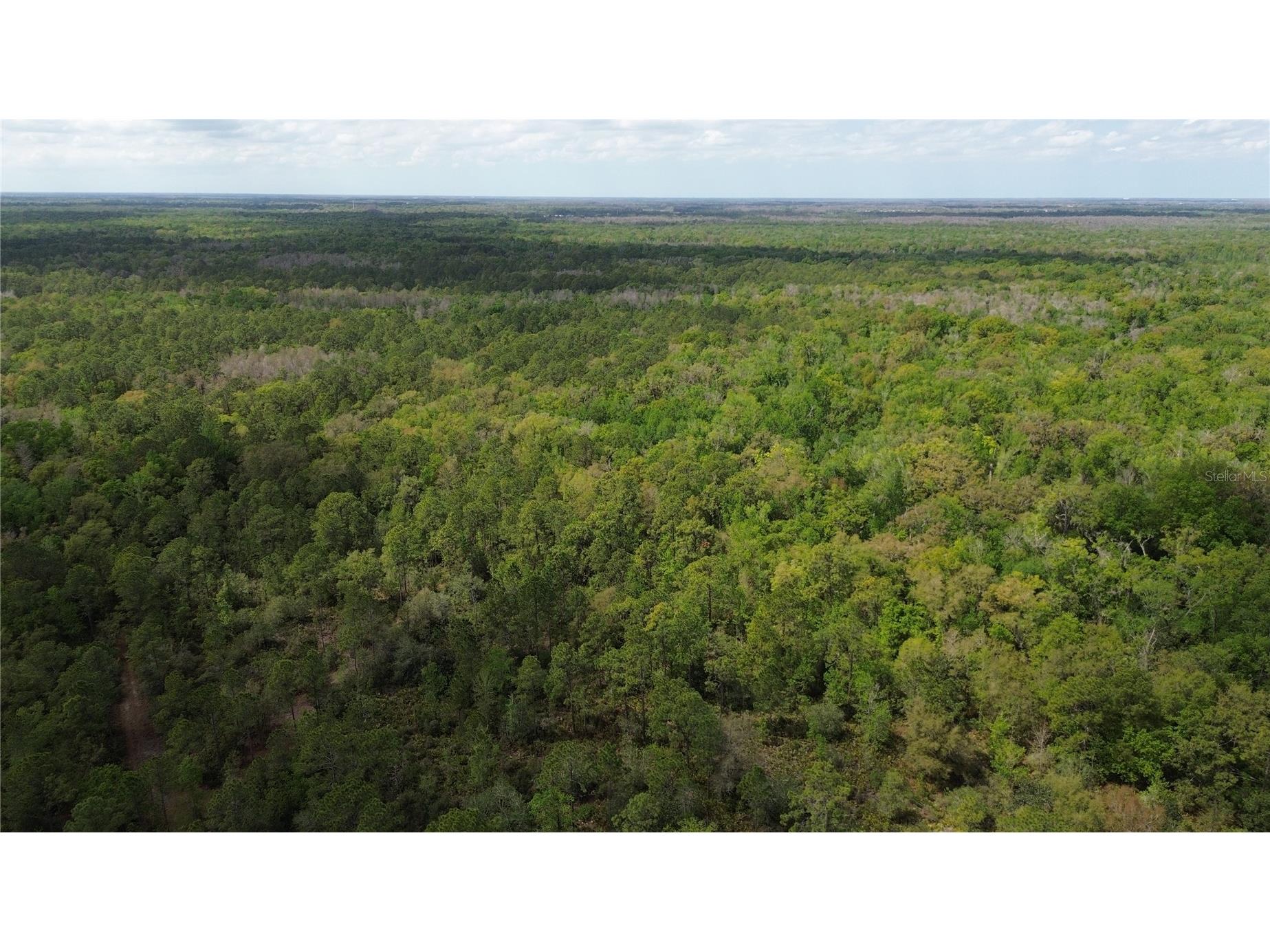 Unassigned Wesley Chapel FL 33544 TB8486675 image8