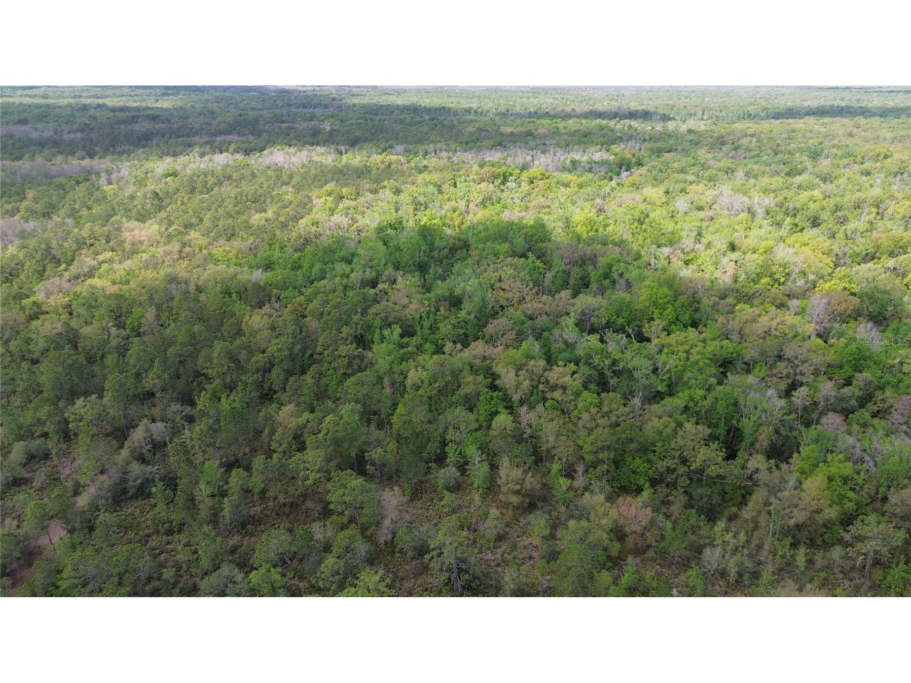 Unassigned Wesley Chapel FL 33544 TB8486681 image12