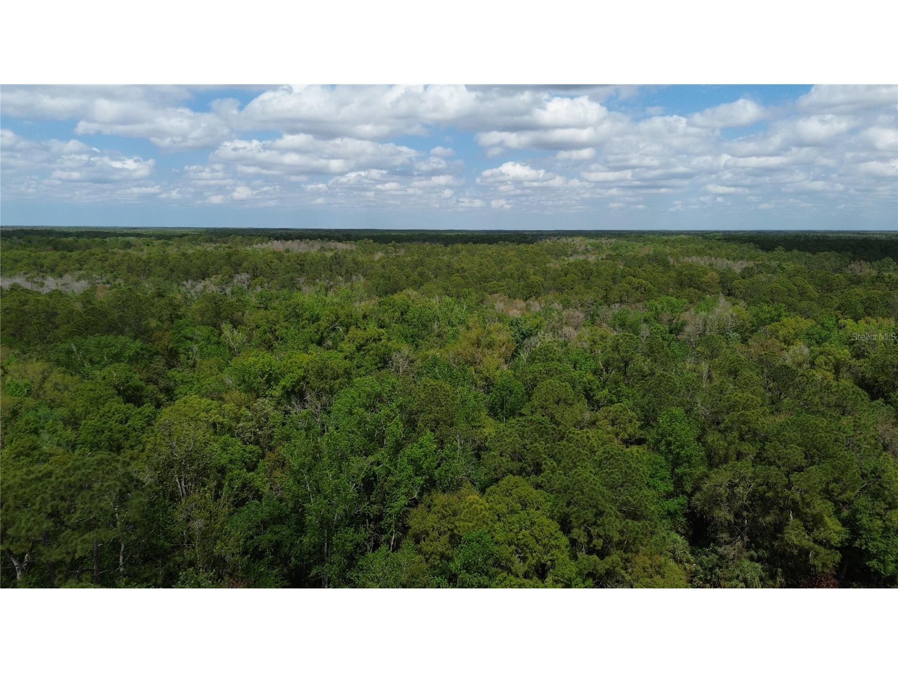 Unassigned Wesley Chapel FL 33544 TB8486681 image20