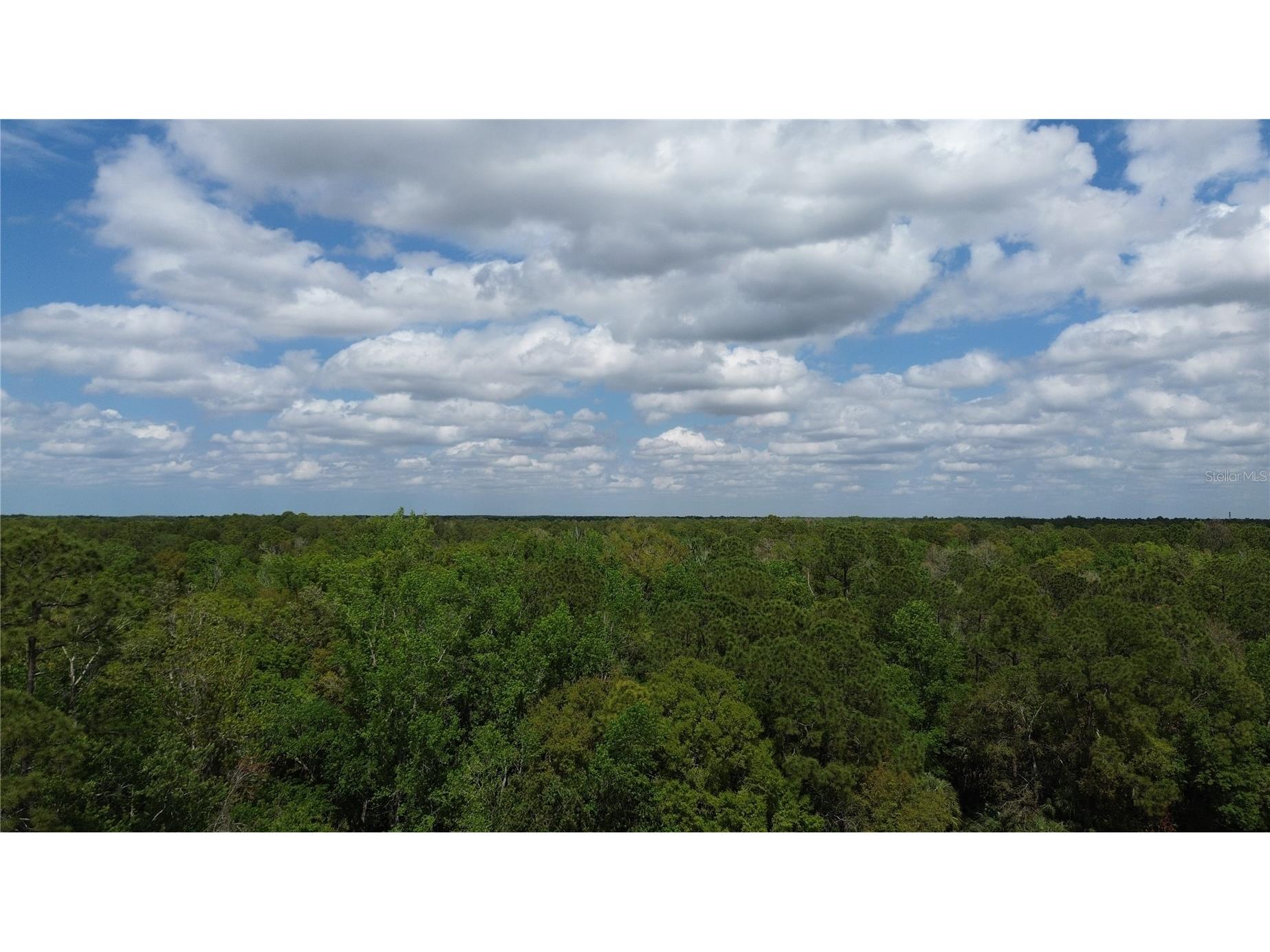 Unassigned Wesley Chapel FL 33544 TB8486681 image22