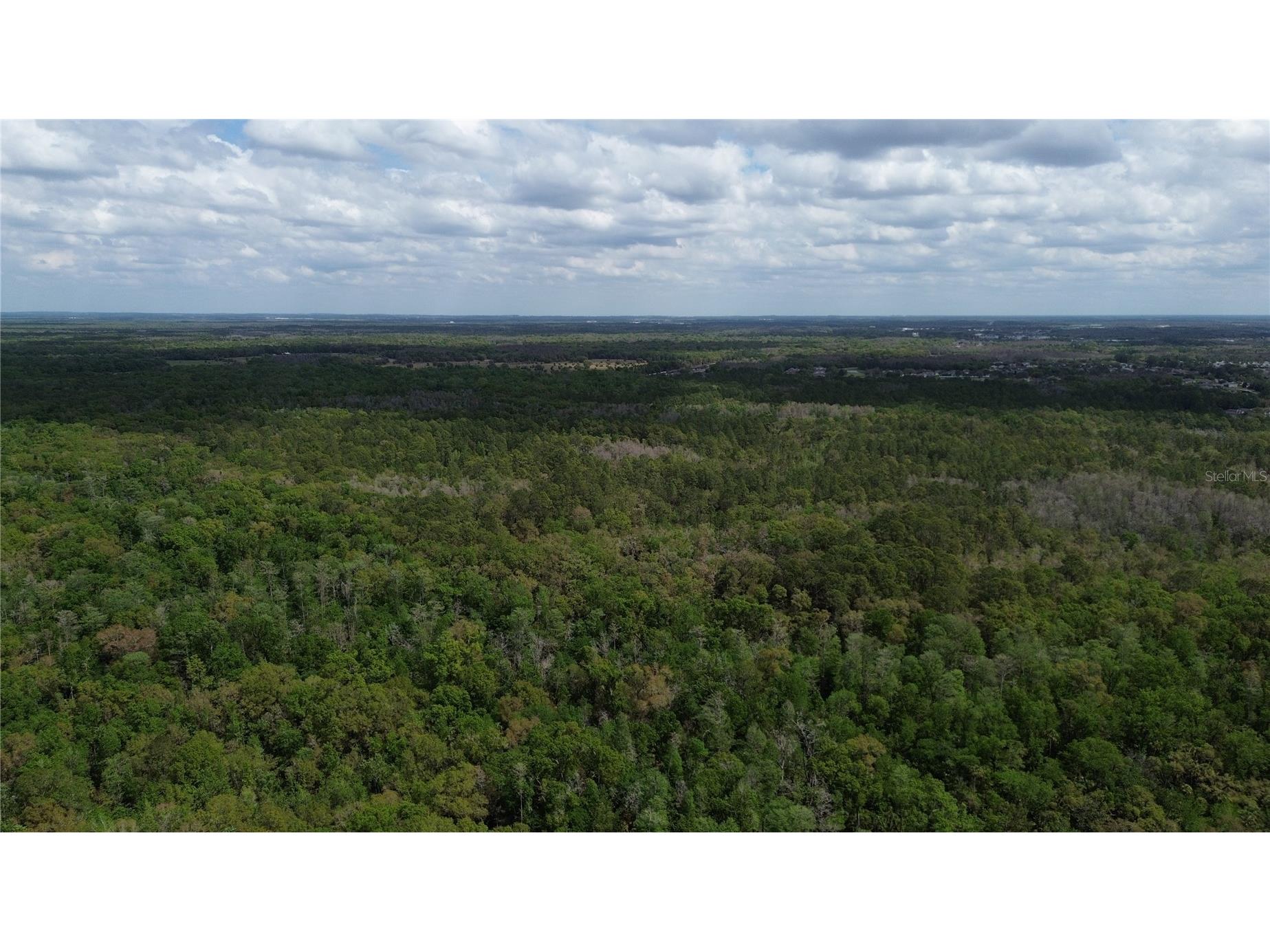 Unassigned Wesley Chapel FL 33544 TB8486681 image24