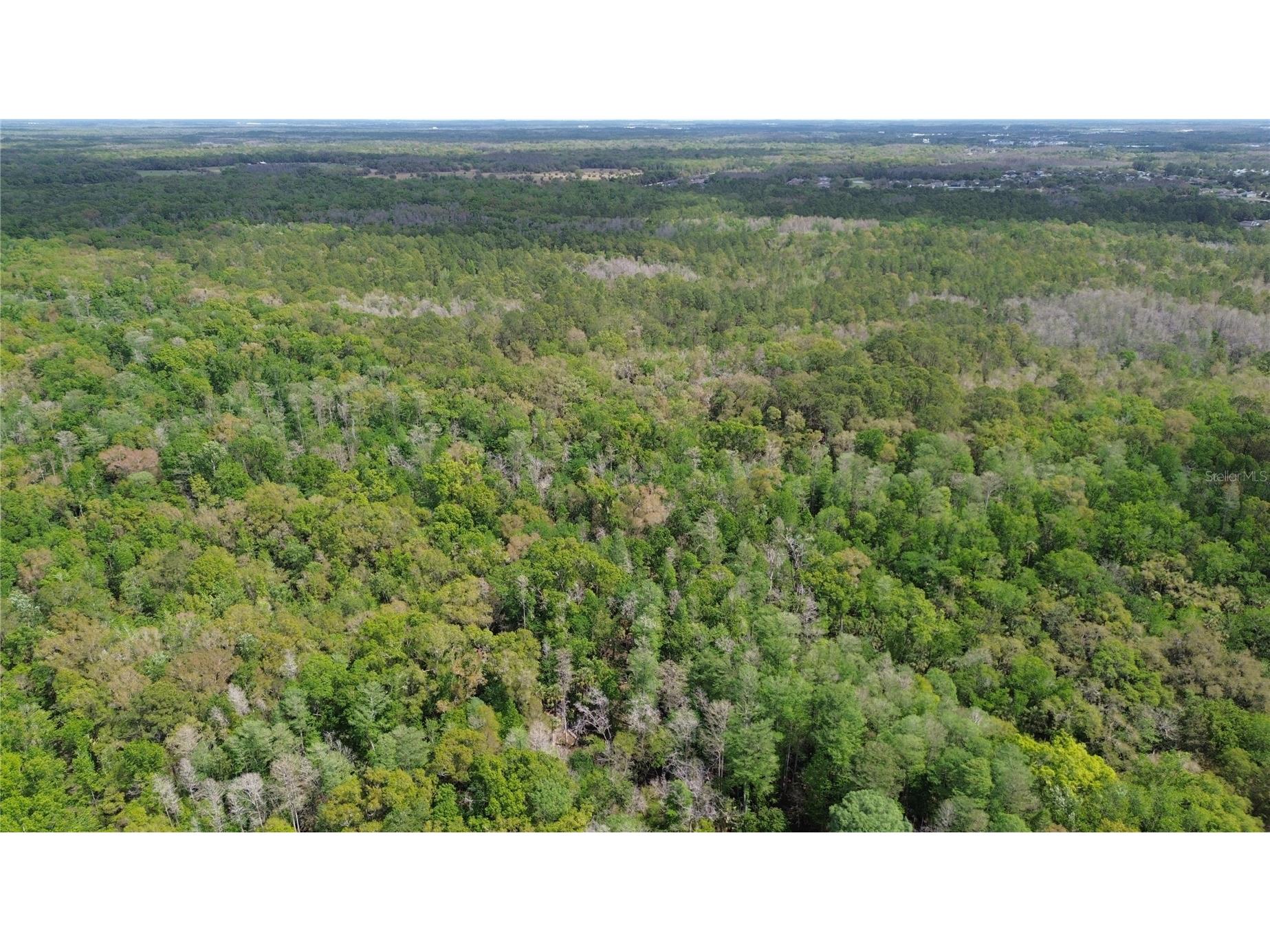 Unassigned Wesley Chapel FL 33544 TB8486681 image25