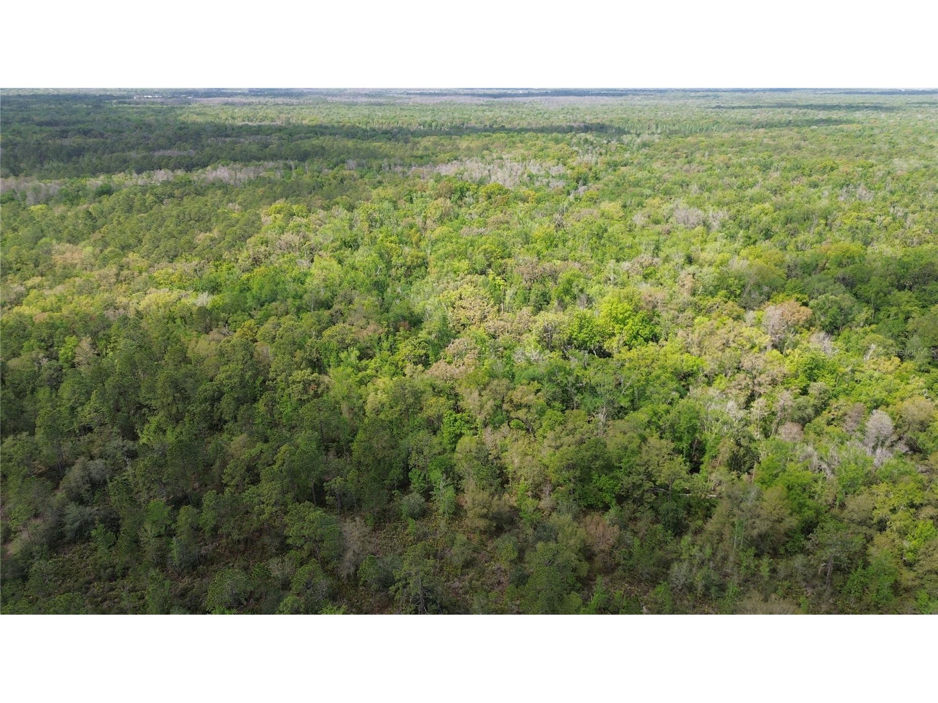 Unassigned Wesley Chapel FL 33544 TB8486681 image9