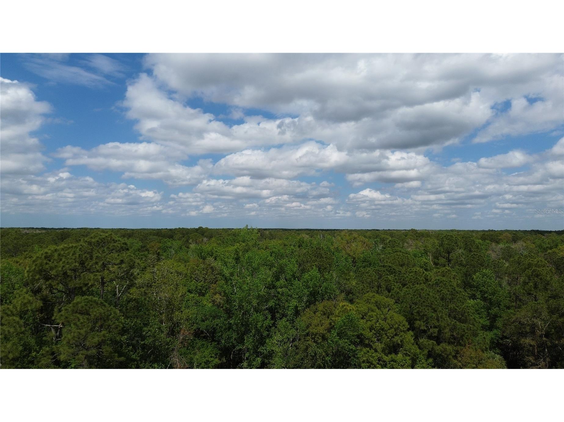 Unassigned Wesley Chapel FL 33544 TB8486683 image23