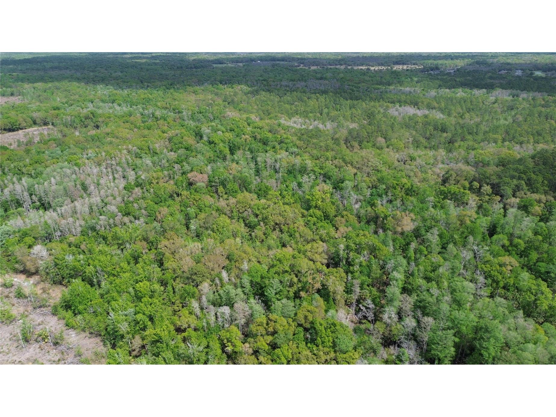 Unassigned Wesley Chapel FL 33544 TB8486683 image27