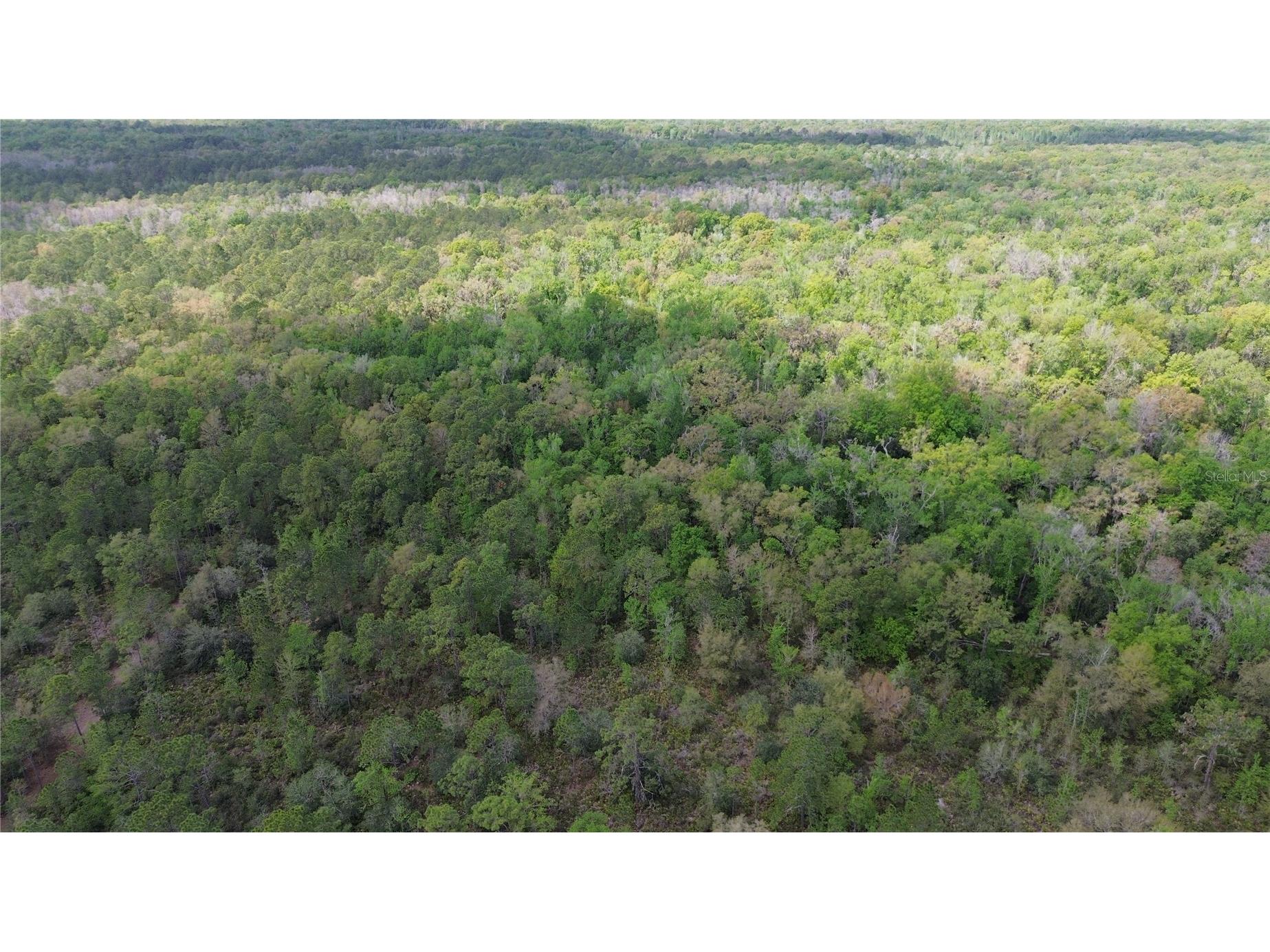 Unassigned Wesley Chapel FL 33544 TB8486685 image10