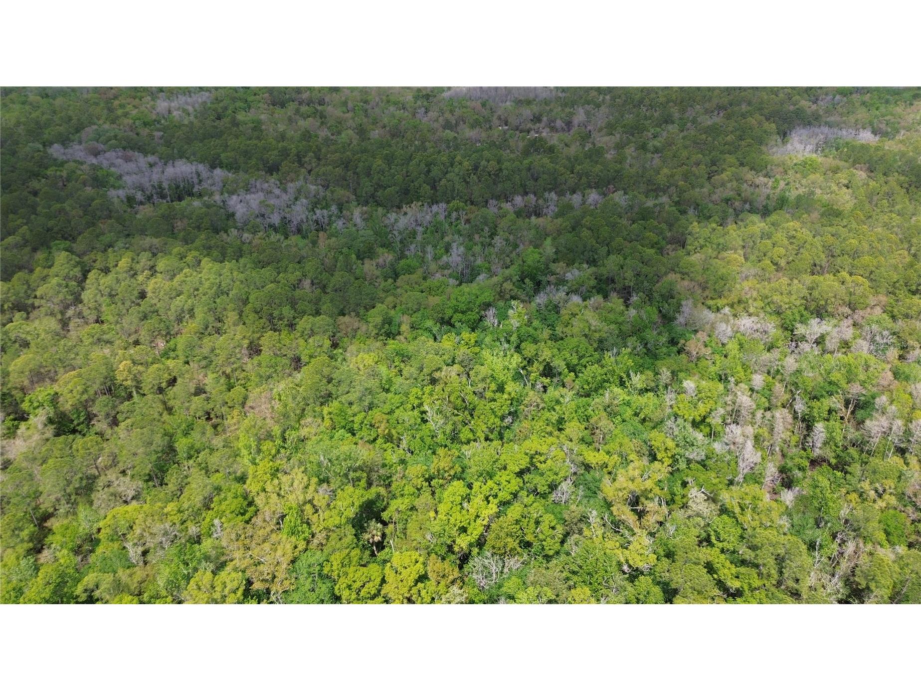 Unassigned Wesley Chapel FL 33544 TB8486685 image14