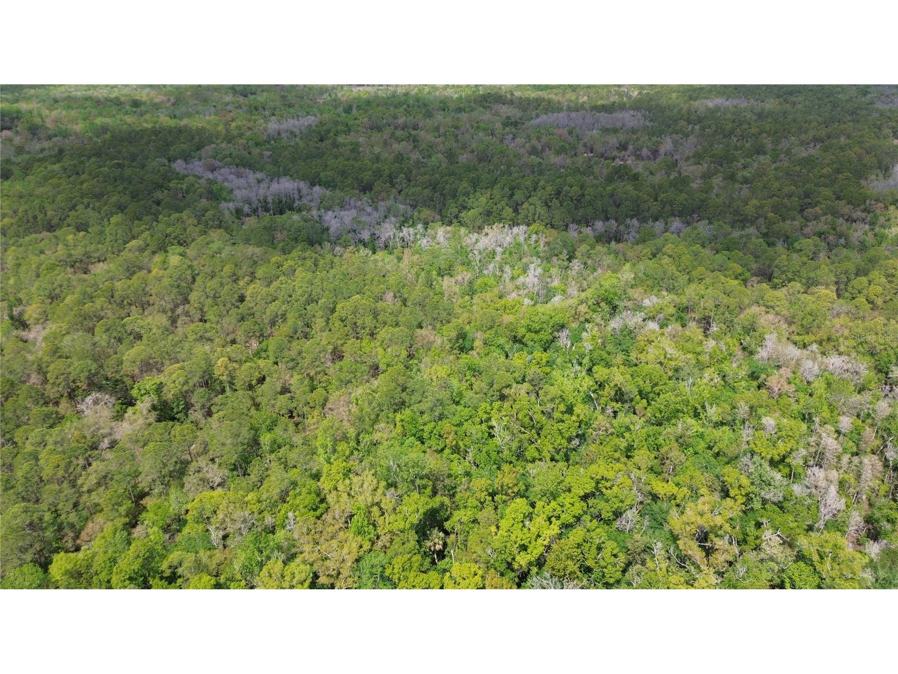 Unassigned Wesley Chapel FL 33544 TB8486685 image17