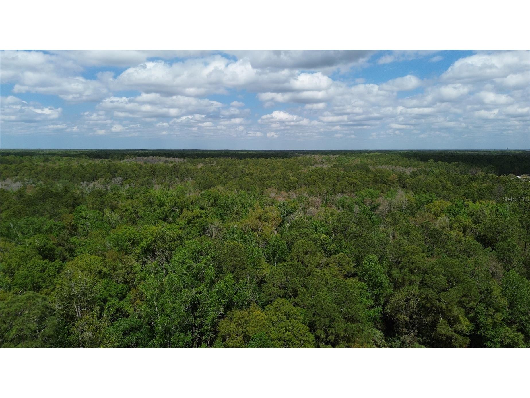 Unassigned Wesley Chapel FL 33544 TB8486685 image18