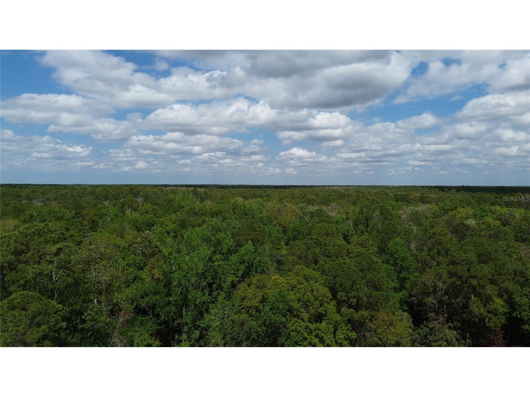 Unassigned Wesley Chapel FL 33544 TB8486685 image21