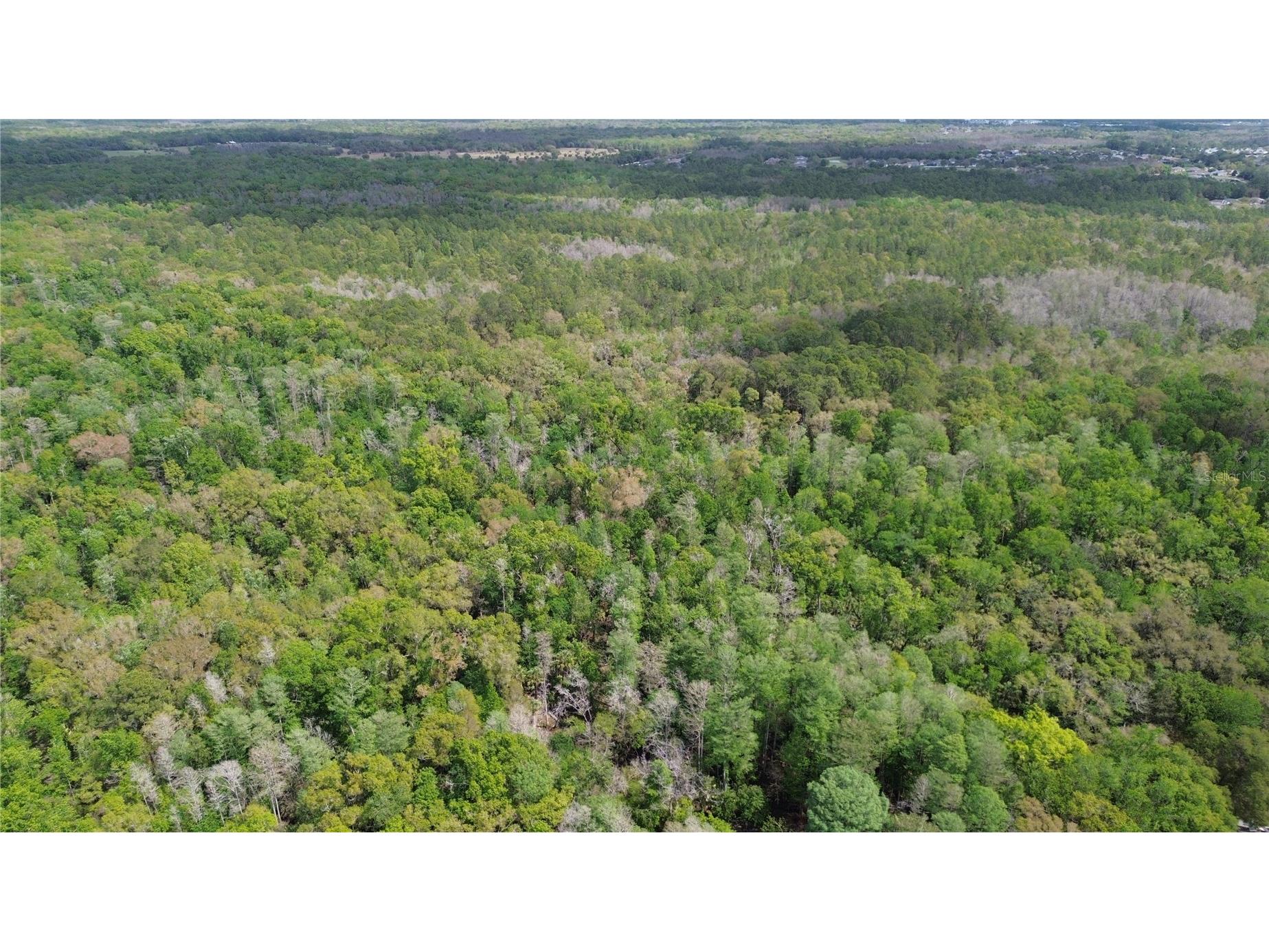 Unassigned Wesley Chapel FL 33544 TB8486685 image28