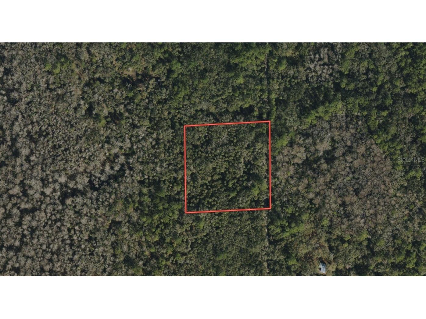 Underhill Branch Road Osteen FL 32764 TB8319400 image1