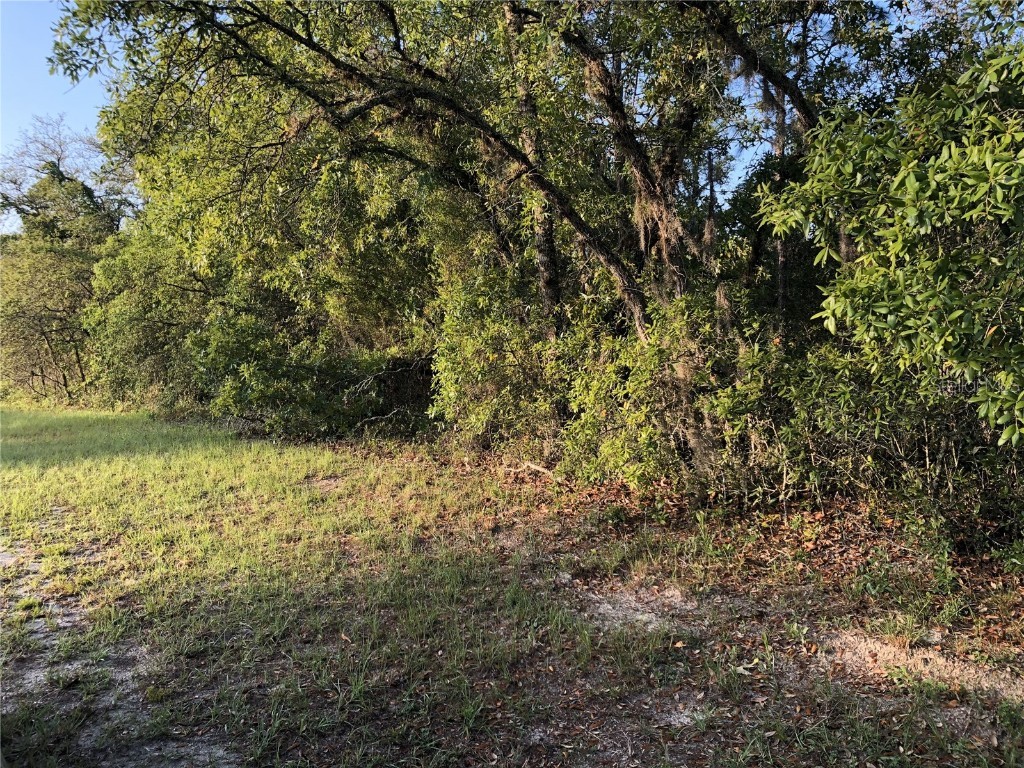 Undertermined Ocala FL 34473 O6271912 image1
