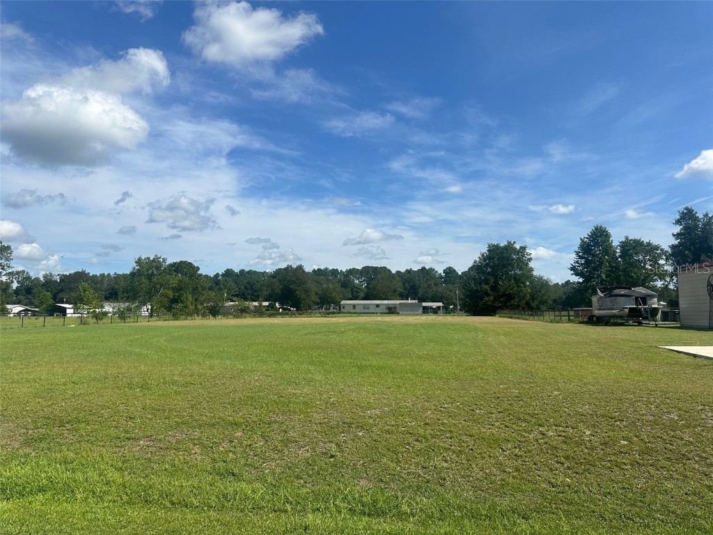 Undeterminded Ocala FL 34482 OM682442 image1