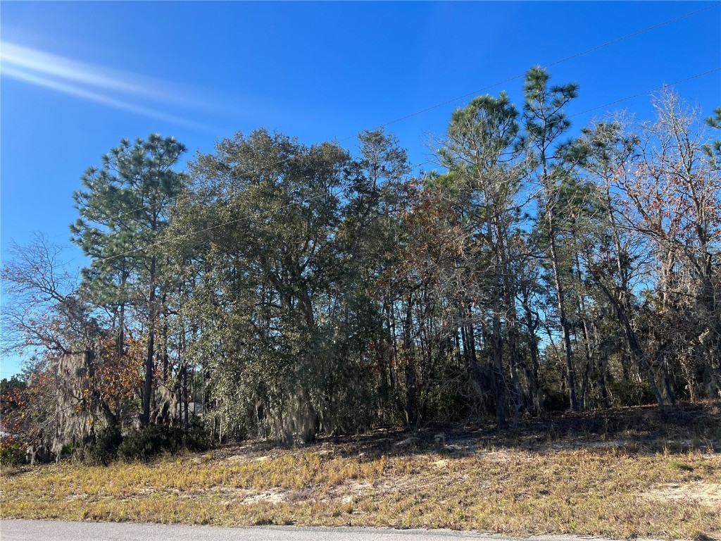 Undetermined #9 Ocala FL 34473 O6178845 image1