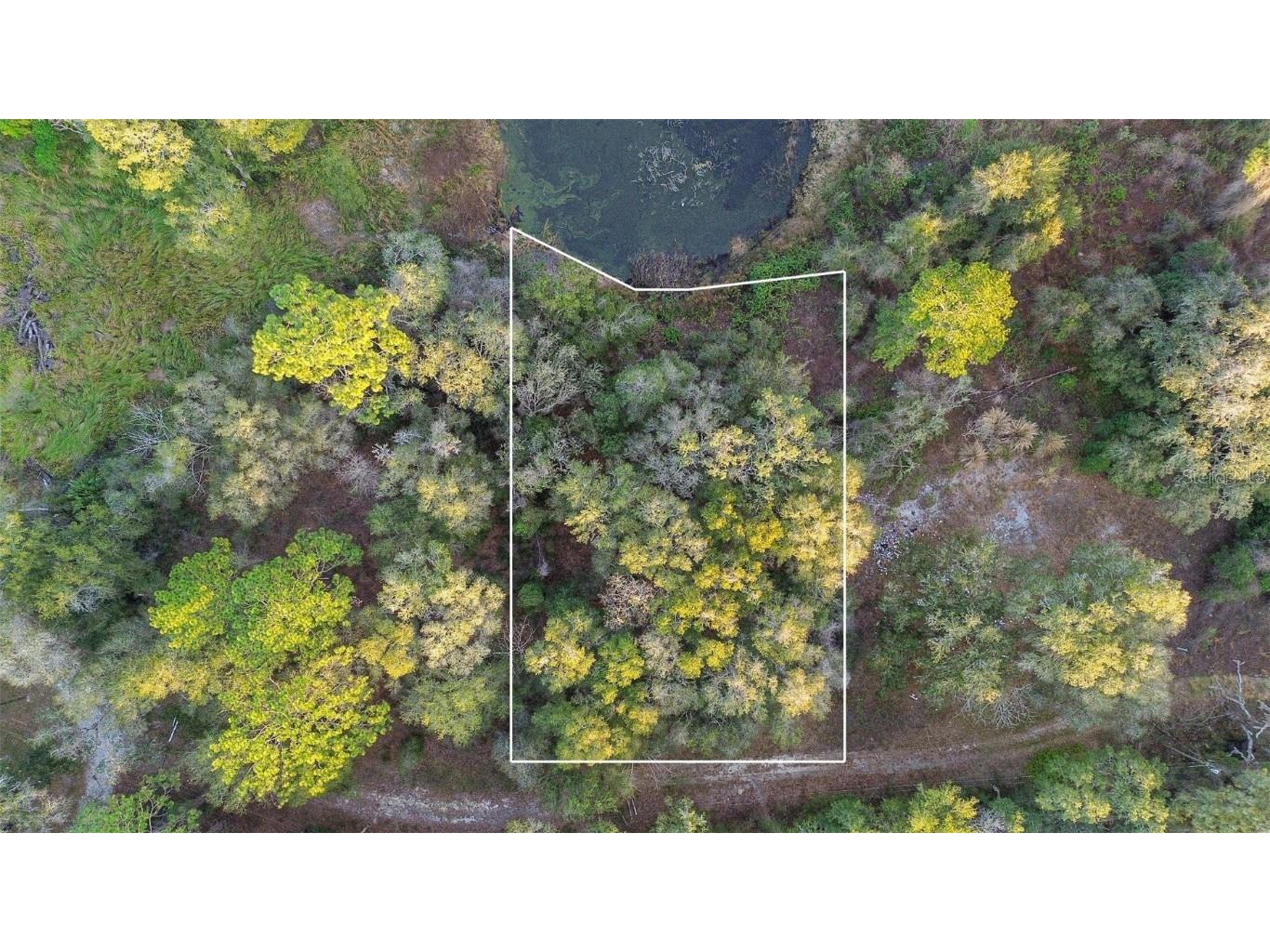 Undetermined Belleview FL 34420 O6174270 image1