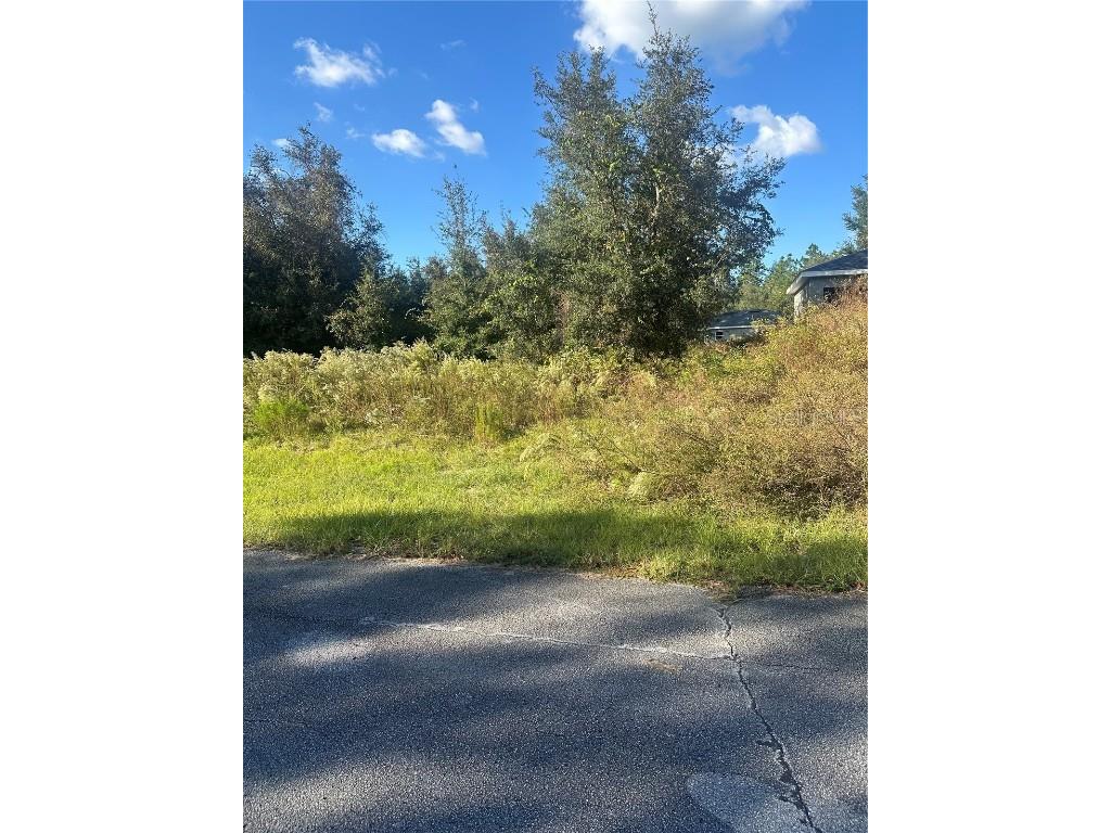 Undetermined Circle Dunnellon FL 34432 S5114755 image2