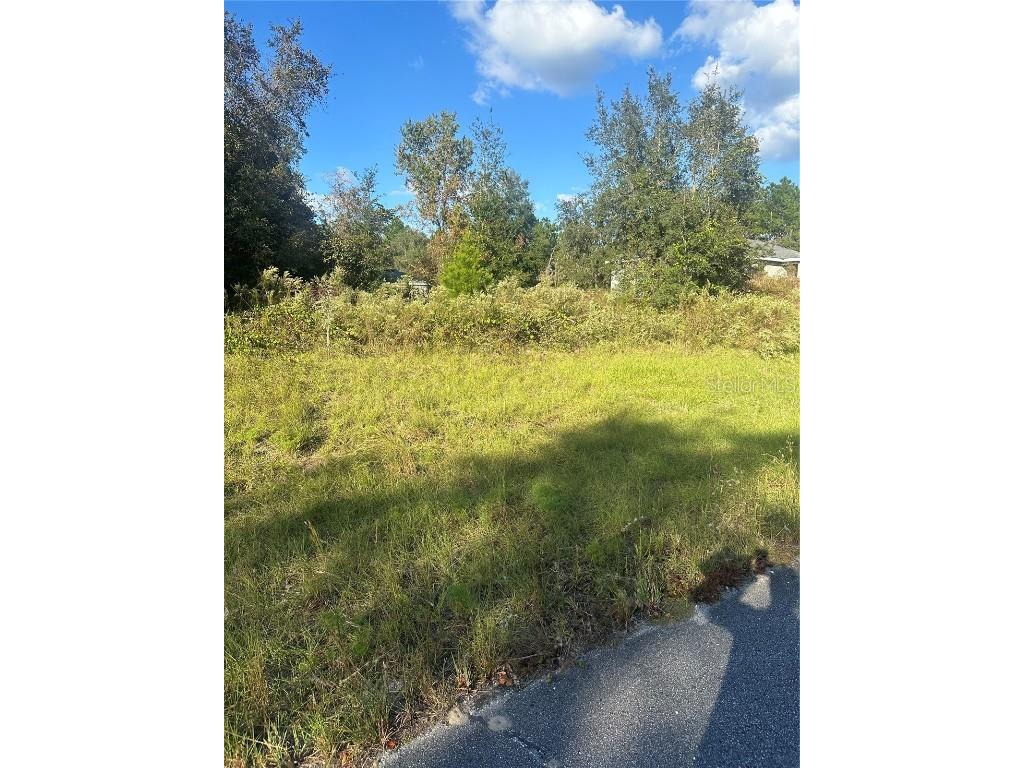 Undetermined Circle Dunnellon FL 34432 S5114755 image3