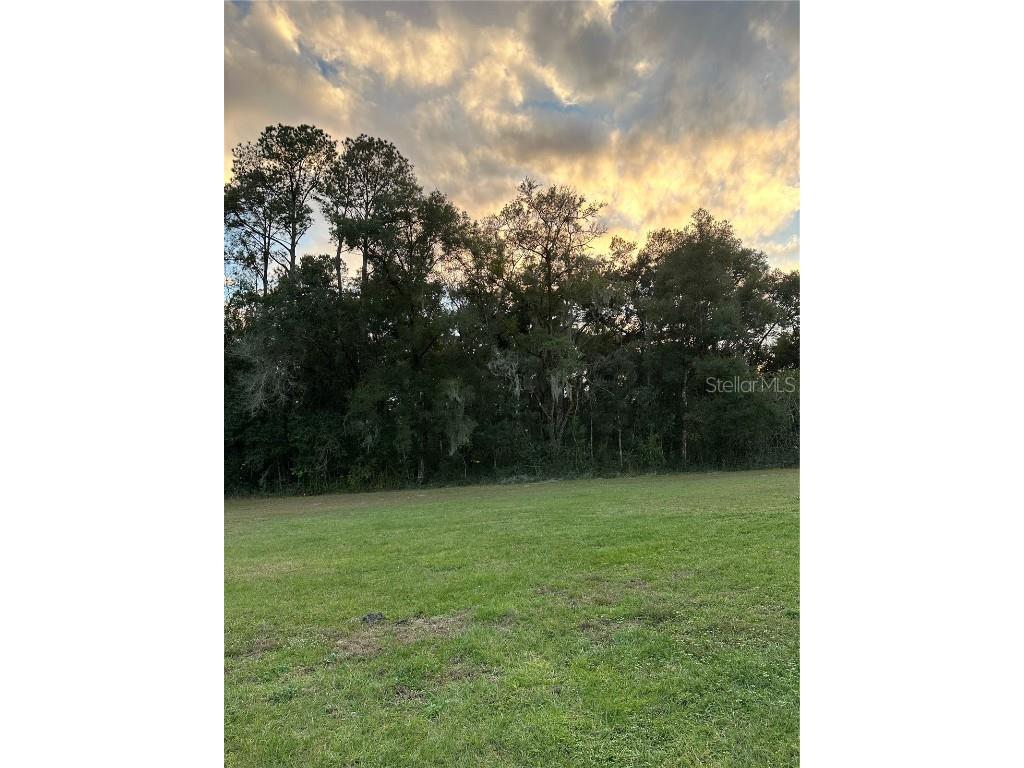 Undetermined Citra FL 32113 L4950156 image1