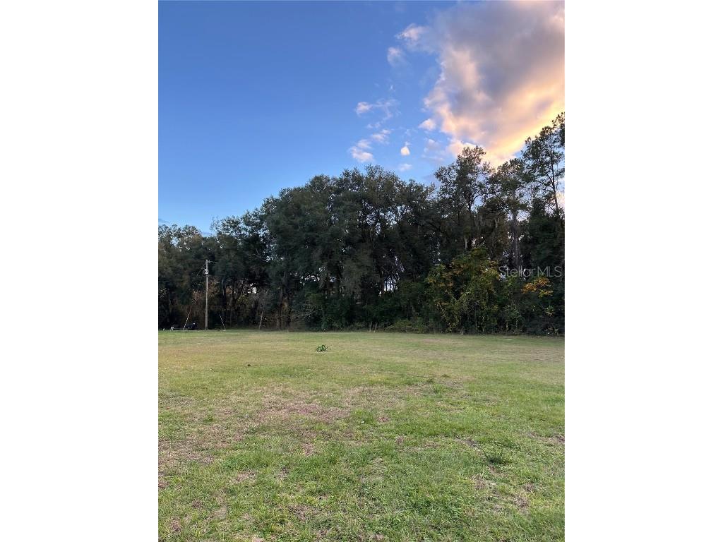 Undetermined Citra FL 32113 L4950156 image2