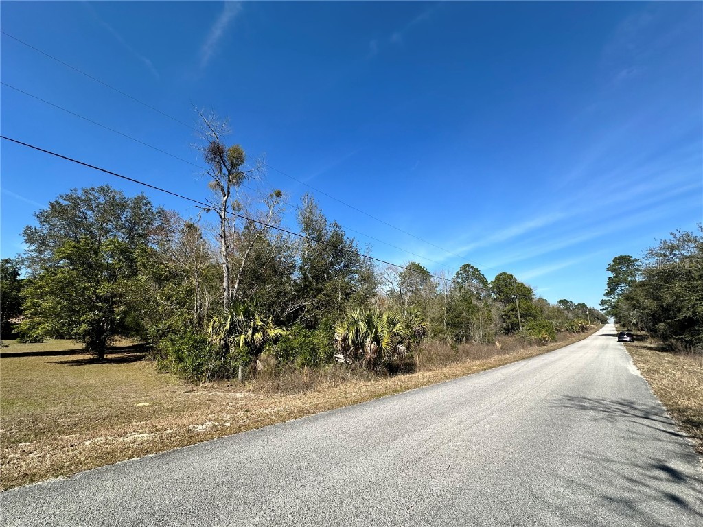 Undetermined Dunnellon FL 34431 S5101493 image1