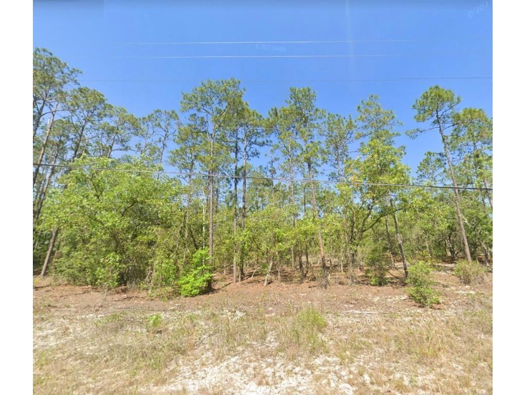 Undetermined Dunnellon FL 34431 T3464822 image1
