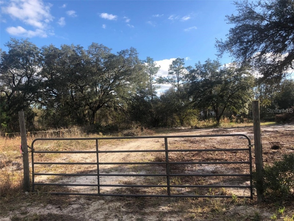 Undetermined Dunnellon FL 34432 OM672391 image1