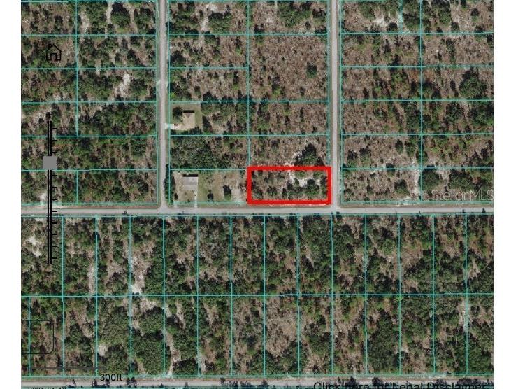 Undetermined Dunnellon FL 34431 L4950143 image1