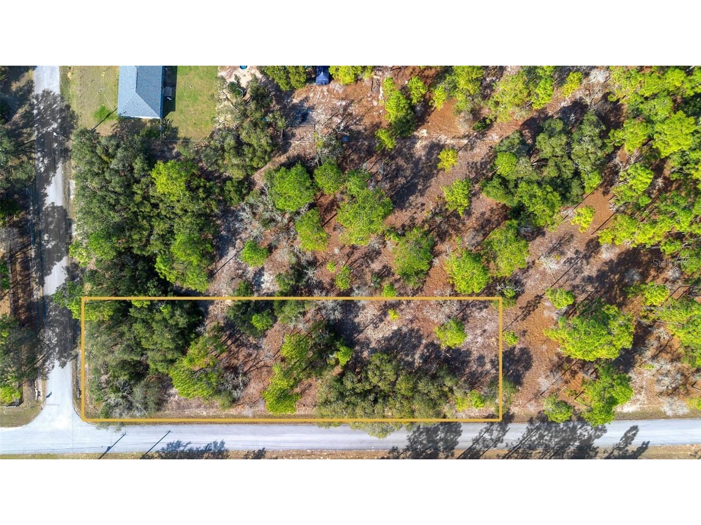 Undetermined Dunnellon FL 34431 O6283843 image1