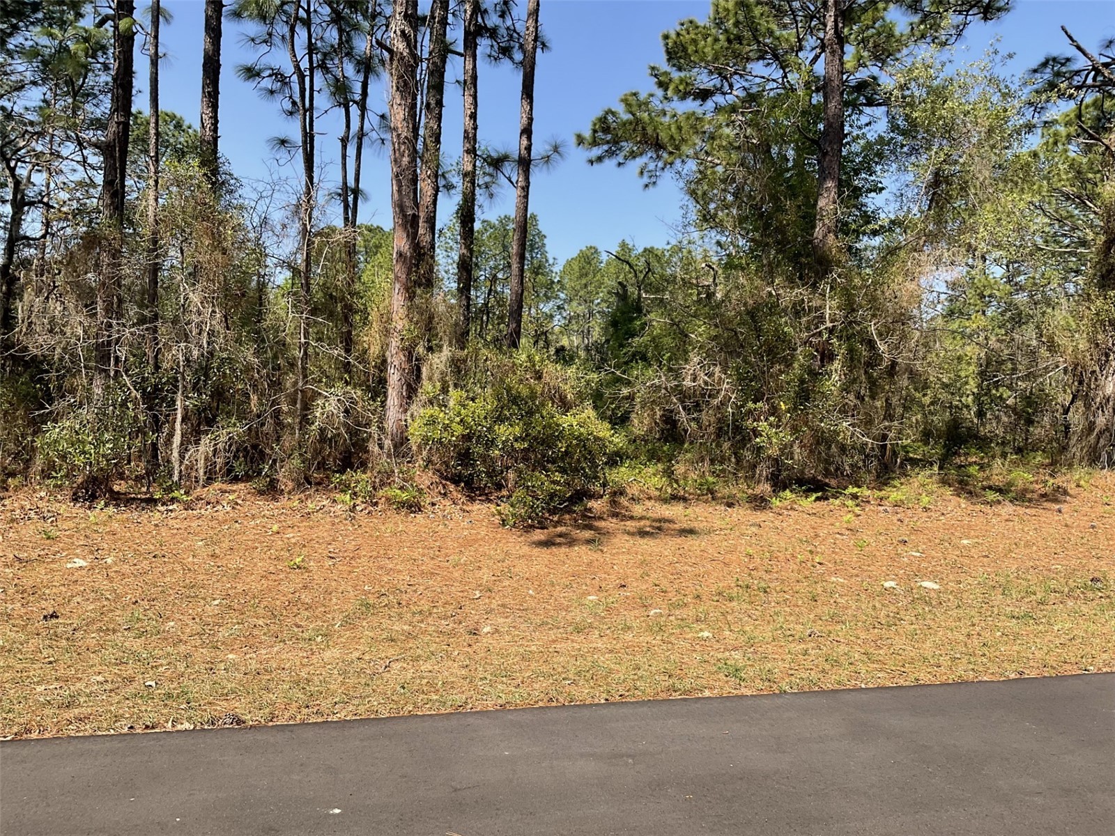 Undetermined Dunnellon FL 34432 O6394858 image1