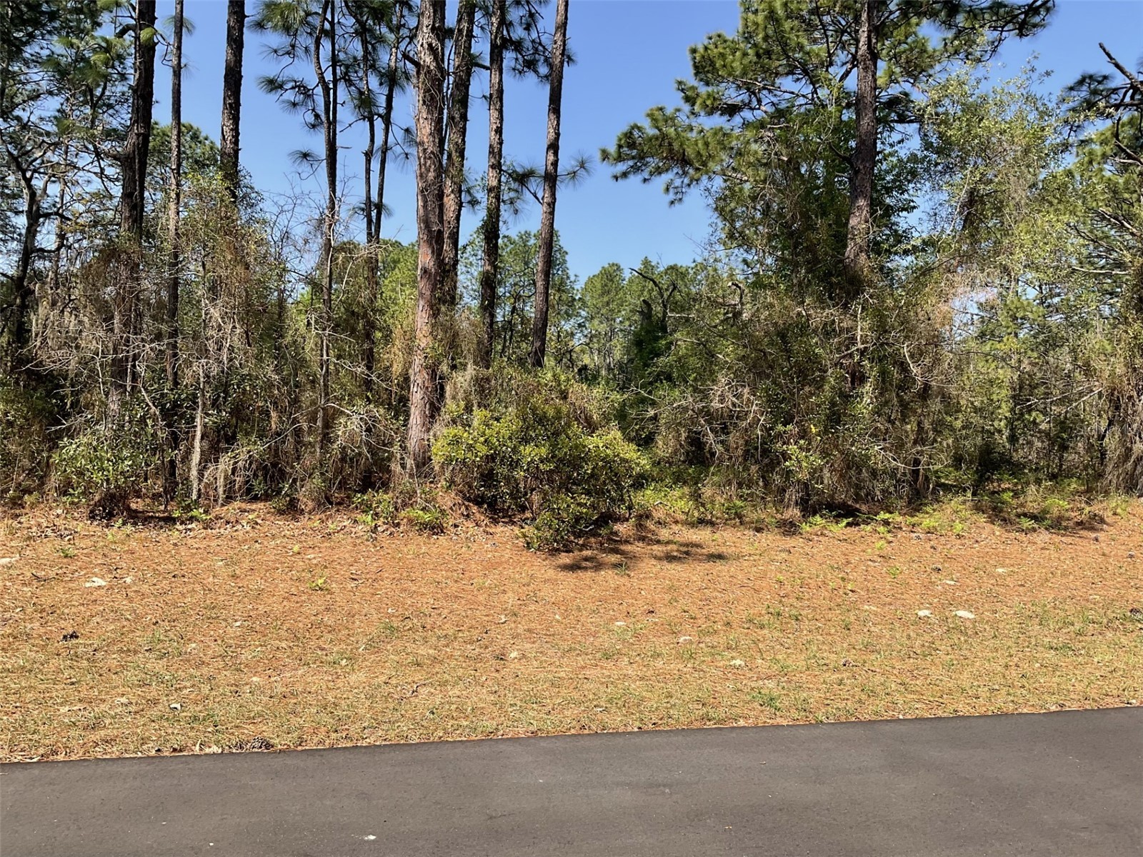 Undetermined Dunnellon FL 34432 O6394858 image2