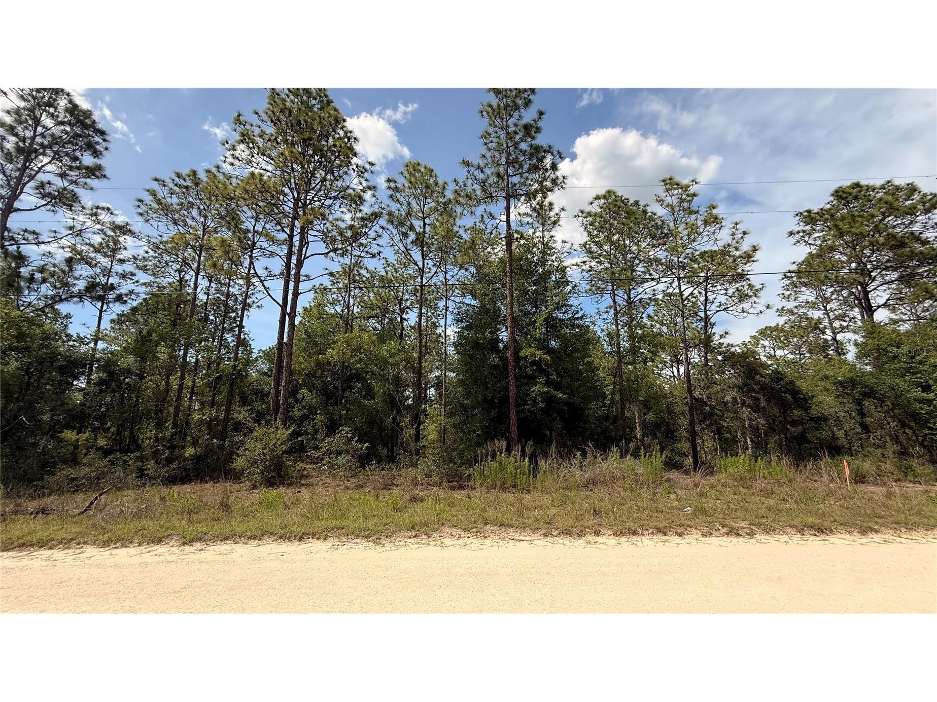 Undetermined Dunnellon FL 34432 O6418591 image1