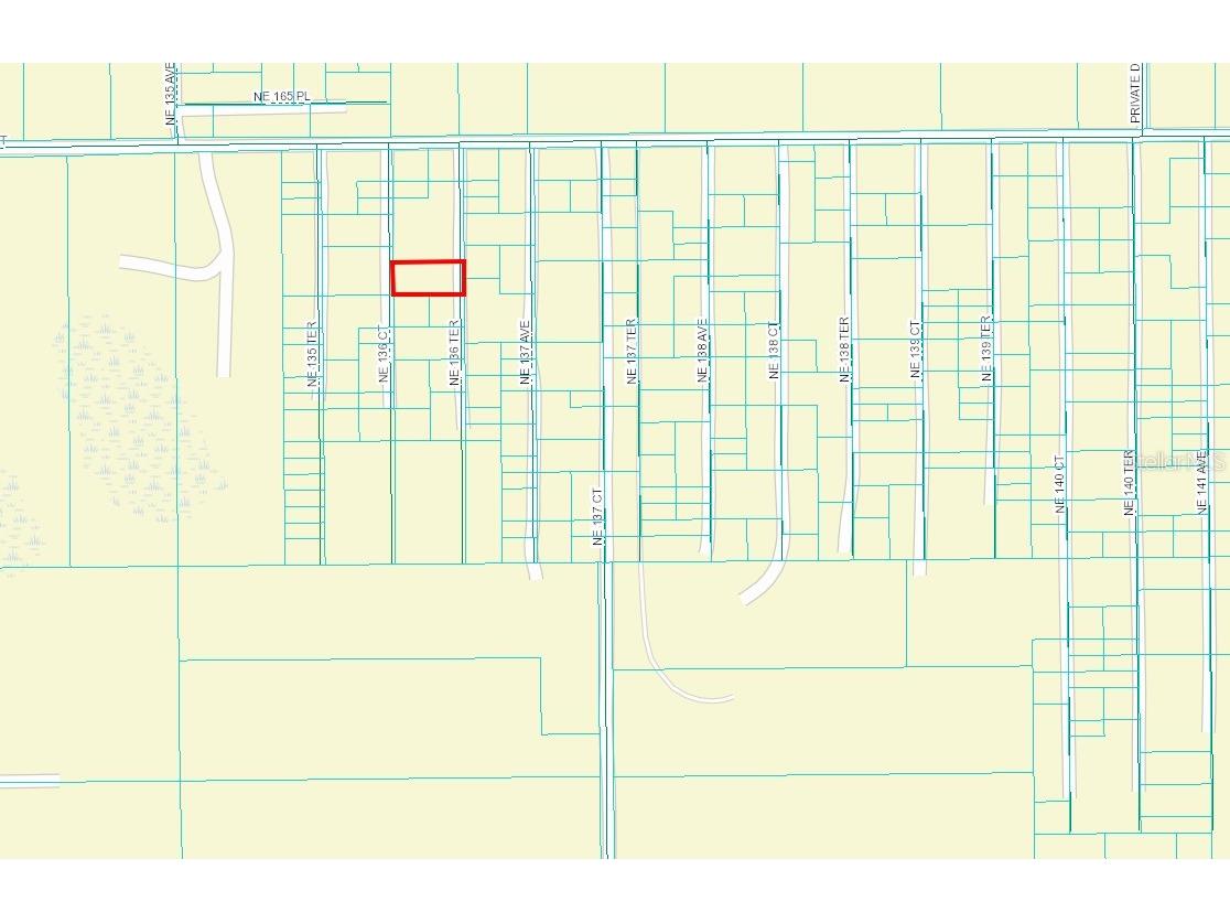 Undetermined Fort Mc Coy FL 32134 TB8366933 image1