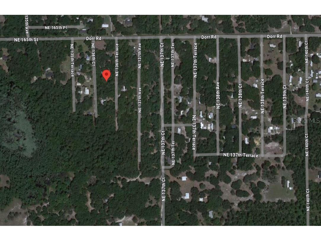 Undetermined Fort Mc Coy FL 32134 TB8366933 image2