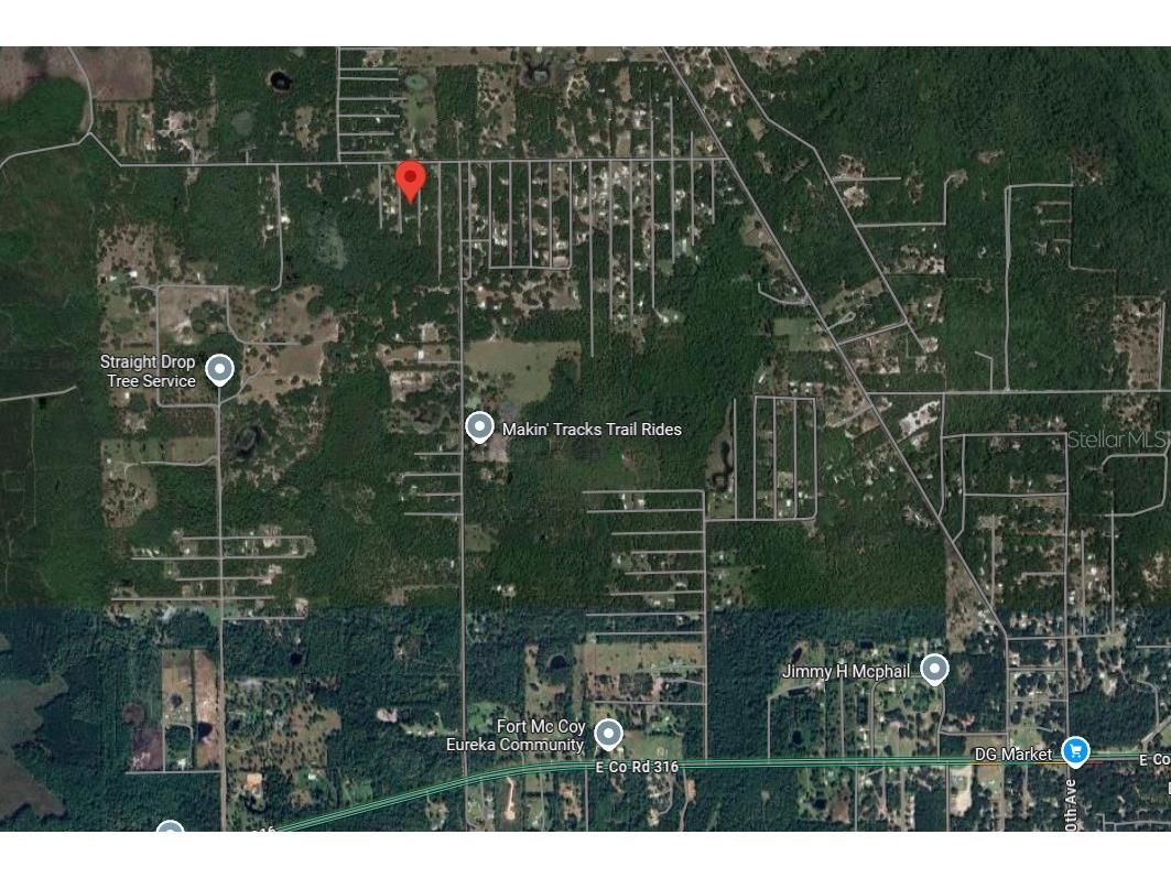 Undetermined Fort Mc Coy FL 32134 TB8366933 image3