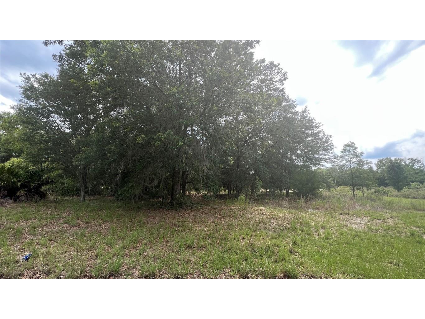 Undetermined Ocala FL 34473 O6115669 image1